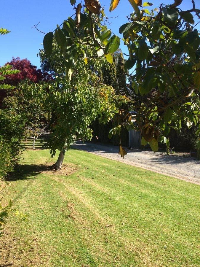 Vineyard Cottage Bnb Gumeracha Ngoại thất bức ảnh